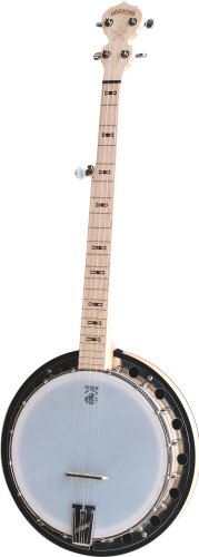 Deering Goodtime 2 5-String Banjo