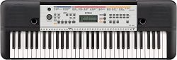 Yamaha YPT260 61-Key Portable Keyboard with Power Adapter (Amazon-Exclusive)