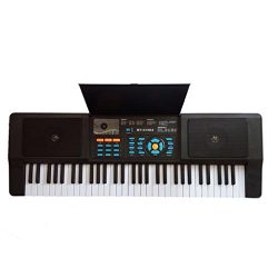 Lightahead Premium Grade 61 Keys Electronic Keyboard Piano Organ with Sing along Microphone Port ...