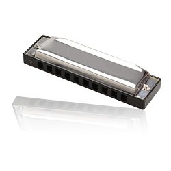 TTnight 10 Holes Harmonica Key of C, Silver Diatonic Harmonica Metal Mouth Organ Children Gift Toys