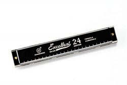 Cheetah 24 Holes Double Tremolo best harmonica, Key of C Prime (Black)