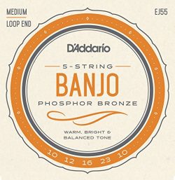 D’Addario EJ55 Phosphor Bronze 5-String Banjo Strings, Medium, 10-23