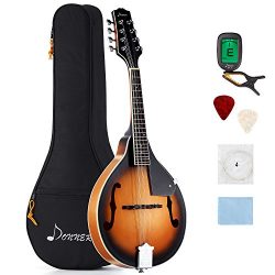 Donner A Style Mandolin Instrument Sunburst Mahogany DML-1 With Tuner String Big Bag and Guitar  ...