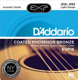 D’Addario EXP16 with NY Steel Phosphor Bronze Acoustic Guitar Strings, Coated, Light, 12-53