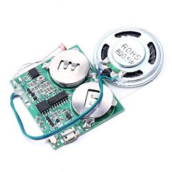 Icstation DIY Programmable Light Control Music Sound Player Module for Musical Gift Box 8Mb Memory