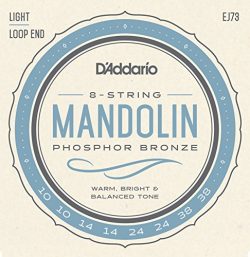 D’Addario EJ73 Phosphor Bronze Mandolin Strings, Light, 10-38