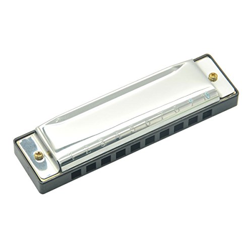 Harmonica Key of C 10 Holes Diatonic Blues Stainless Steel Mouth Organ with Case
