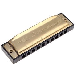 Andoer Diatonic Harmonica 10 Holes Blues Harp Mouth Organ Key of G Reed Instrument with Case Golden