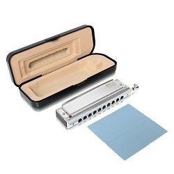 Pyle Professional Stainless Steel Metal 10 Hole Chromatic Harmonica Kit – Set Includes Sto ...