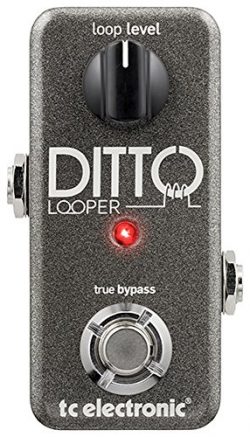 TC Electronic Guitar Ditto Looper Effects Pedal