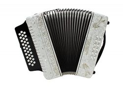 Rizatti Bronco RB31FW Diatonic Accordion – White – Key F/Bb/Eb