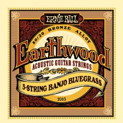 Ernie Ball Earthwood 5-string Banjo 80/20 Bronze Loop End Bluegrass Set, .009 – .020