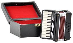 【Accordion】 1/6 Scale Miniature Musical Instrument