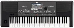 Korg PA600 61-Key Professional Arranger with Color Touchview Display