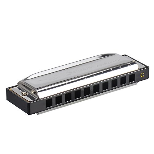SWAN Harmonicas for Kids C Key Set with Case 10 Holes Blues Harmonica Key of C Mouth Organ for B ...