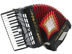 D’Luca D3048-BK Grand Piano Accordion 3 Switches 30 Keys 48 Bass with Case and Straps, Black