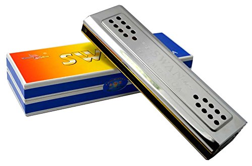 New, 48 Holes Harmonica, Tremolo, Two Keys C & G