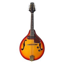 ammoon 8-String Electric A Style Mandolin Rosewood Fingerboard String Instrument with Cable Stri ...