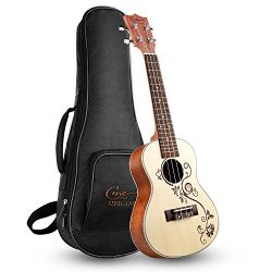 Hricane Concert Ukulele,Mahogany Ukelele,Professional 23 inch Ukele Hawaiian Uke For Beginners P ...