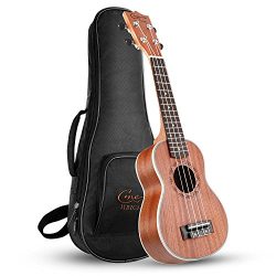 Hricane Ukulele Soprano 21inch Professional Ukeleles For Beginners Sapele Hawaiian Ukele UKS-1 B ...