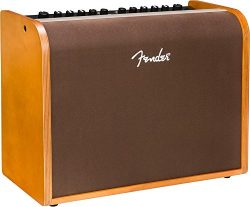 Fender 2314000000 Acoustic 100 Guitar Amplifier