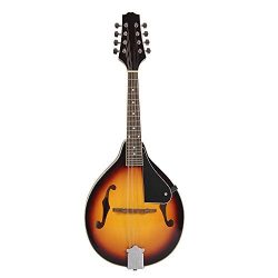 ammoon 8-String Basswood Sunburst Mandolin Musical Instrument with Rosewood Adjustable Bridge