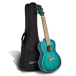 SANDONA Acoustic Electric Concert Ukulele 24 Inch Kit eUKC-131 | Spruce Top Flamed Okoume Back a ...