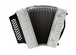 Rizatti Bronco RB31FW Diatonic Accordion – White – Key F/Bb/Eb with Padded Bag