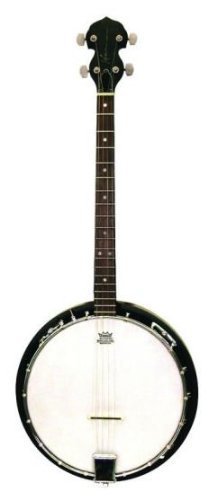 Trinity River TRTB1 4-String Tenor Banjo