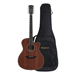 Orangewood Rey Grand Auditorium Cutaway Acoustic Guitar with Mahogany Top, Ernie Ball Earthwood  ...