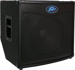 Peavey  TOUR TKO 115 Bass Combo Amplifier