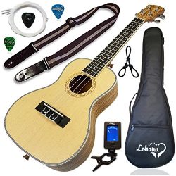 Ukulele from Lohanu Spruce Top Zebra Wood Sides & Back With All Accessories Included! (Conce ...