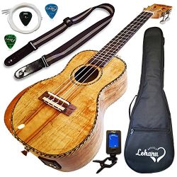 Ukulele From Lohanu Amazing Looking Spalted Maple With Armrest Glossy Finish With 3 Band EQ & ...