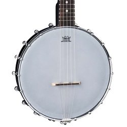 Dean Backwoods Mini Travel Banjo