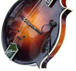“THE FEATHER” F-STYLE MANDOLIN PICKUP with FLEXIBLE MICRO-GOOSE NECK by Myers Pickup ...