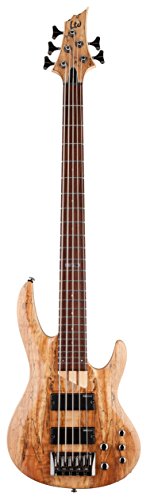 ESP LTD B Series B-205 Five-String Bass Guitar – Natural Satin