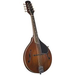 Kentucky KM-256 Artist A-model Mandolin – Transparent Brown