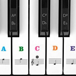 Piano Stickers for Keys For 49/61 / 76/88 Key Keyboards, Transparent Removable with Free Sheet o ...