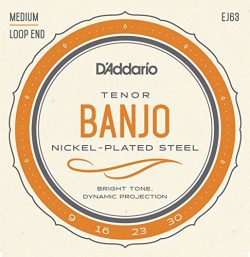 D’Addario EJ63 Nickel Tenor Banjo Strings, 9-30