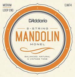 D’Addario Mandolin Monel Set, Medium, 11-40 EJM74