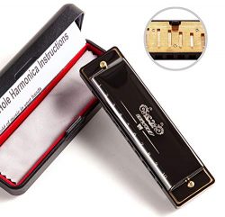 JSL Harmonica, Standard Diatonic Key of C 10 Holes 20 Tones Blues Mouth Organ Harp For Kids, Beg ...