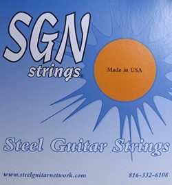 SGN Hawaiian C6th- 6 (Stainless) Lap Steel Guitar Strings- 2 Sets