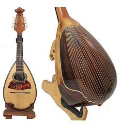 Bowl Back Mandolin Solid Spruce top Indian Rosewood/Curly Maple Violin head NBMI (Indian Rosewood)