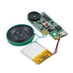 Rechargeable MP3 Sound Chip Module Voice Player Circuit Board with Speaker Lithium Battery Power ...