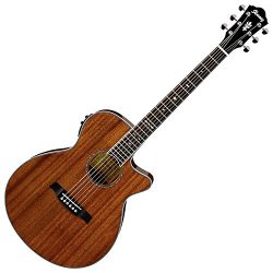 Ibanez AEG12IINT Acoustic-Electric Guitar, Natural Finish