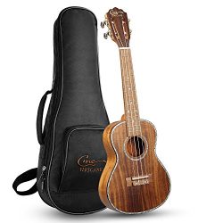 Hricane Concert Ukulele 23 Inch Koa Professional Hawaiian Ukuleles for Beginners with Gig Bag St ...