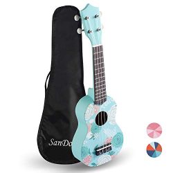 Sandona AK60F Soprano Basswood Ukulele,Children Musical Instruments, 21 Inch with Gig Bag for ki ...