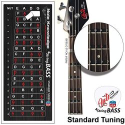 Bass Guitar Fretboard Note Map Decals/Stickers