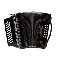 Rizatti Bronco RG31GB Diatonic Accordion – Black – Key G/C/F