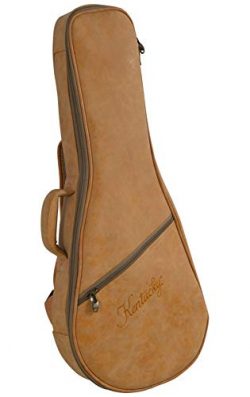 Kentucky ProTour BV-2012 NuHyde Mandolin Gig Bag A or F Model